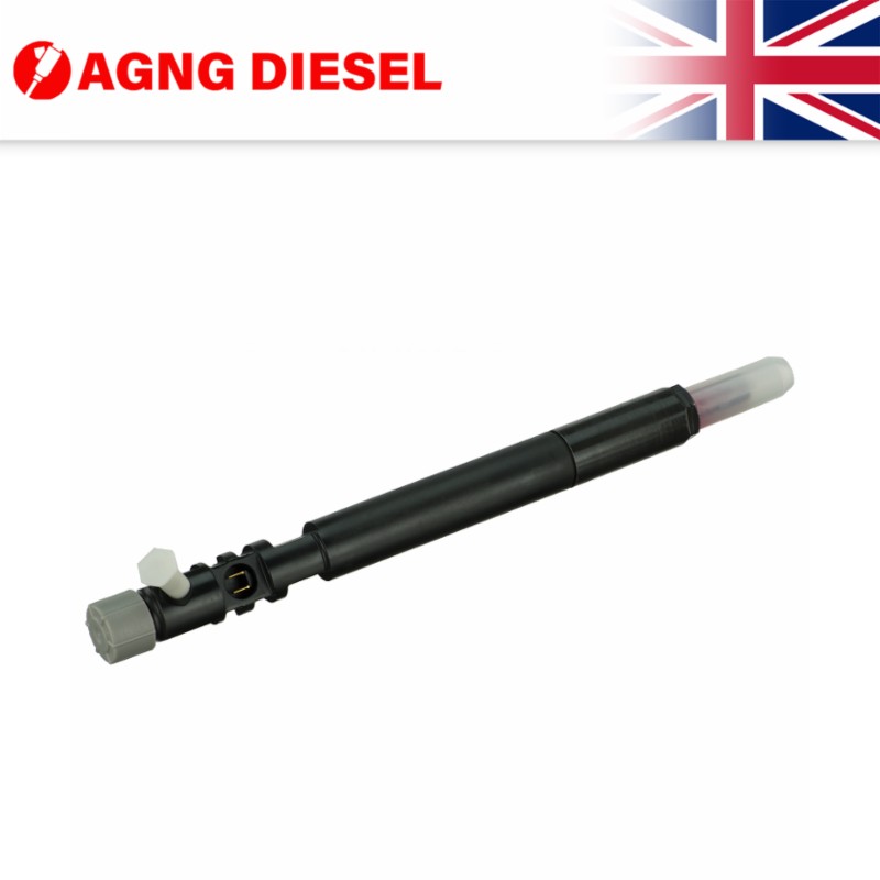 Delphi Fuel Injector R04701D
