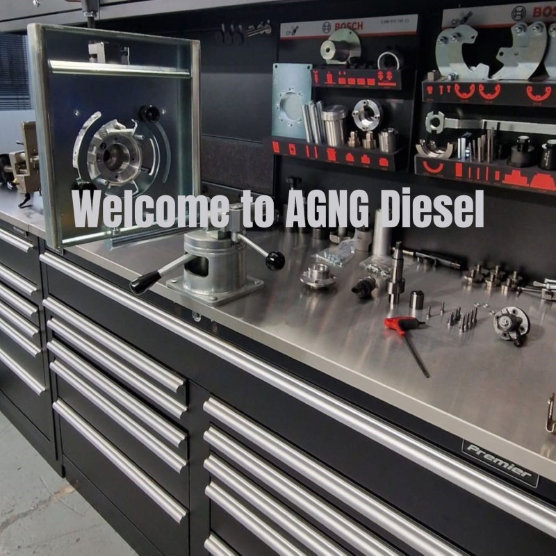 Delphi Injection Nozzle Valve Kit L055PBC-12B1