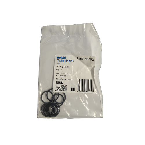 Delphi O-Ring-Pk10
