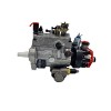 Delphi DP200 Diesel Fuel Injection Pump 8921A172W For JOHN DEERE DUBUQUE 6068T1